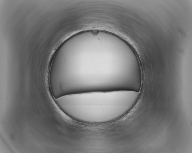 X0000112021525200908031031