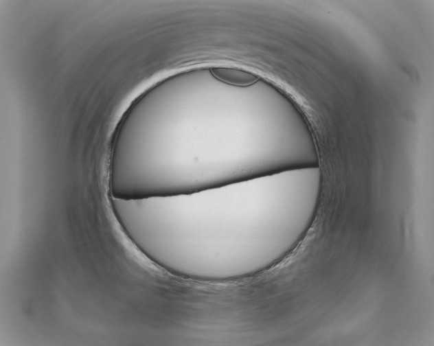 X0000112021526200908031031