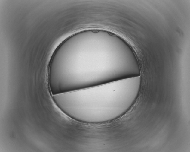 X0000112021527200908031031