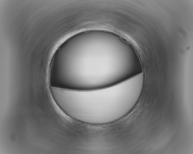 X0000112021528200908031031