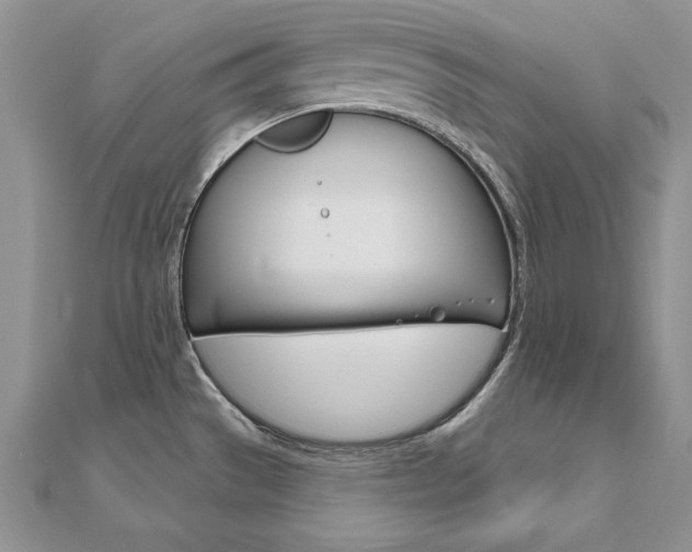 X0000112021529200908031031