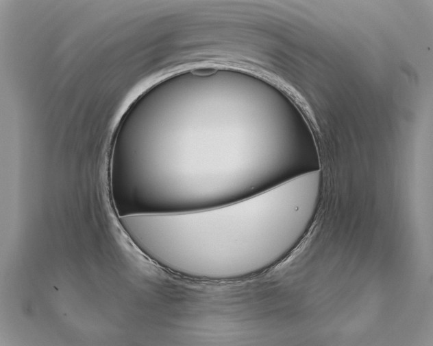 X0000112021530200908031031