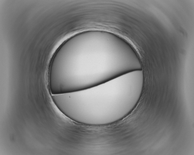X0000112021531200908031031