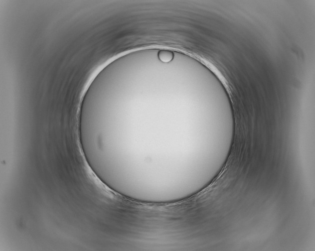 X0000112021532200908031031