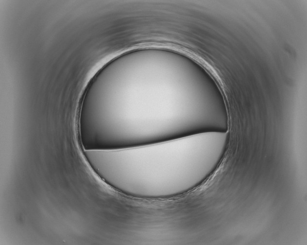 X0000112021533200908031032