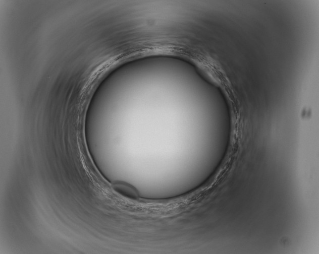 X0000112020001200908031408