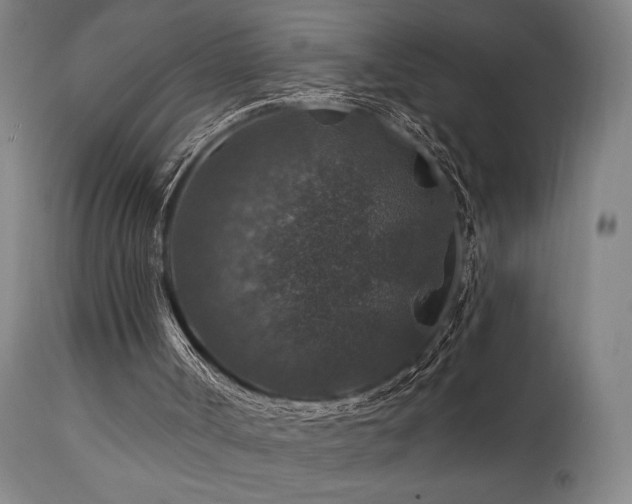 X0000112020002200908031408