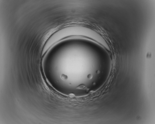 X0000112020003200908031408