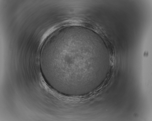 X0000112020004200908031408