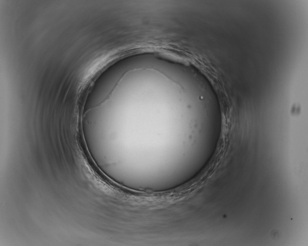 X0000112020005200908031408