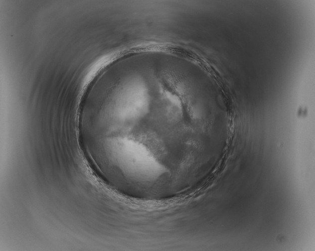 X0000112020006200908031408