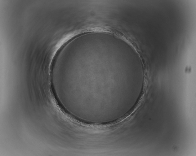 X0000112020008200908031408