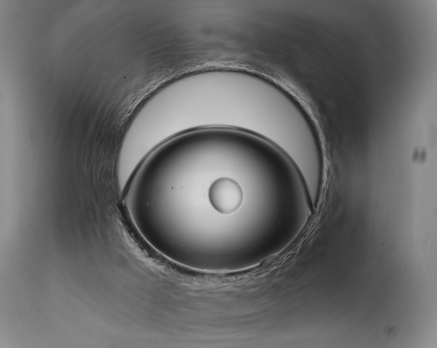 X0000112020009200908031408