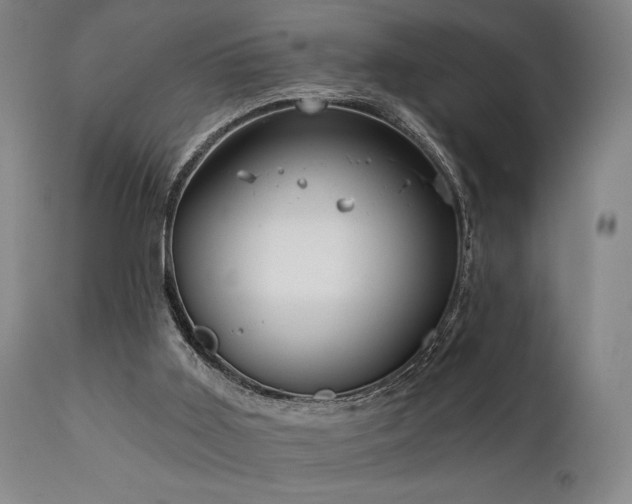 X0000112020011200908031408