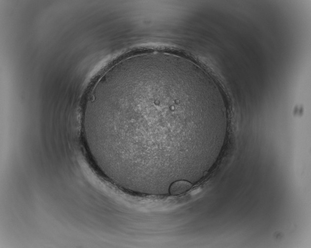 X0000112020016200908031408