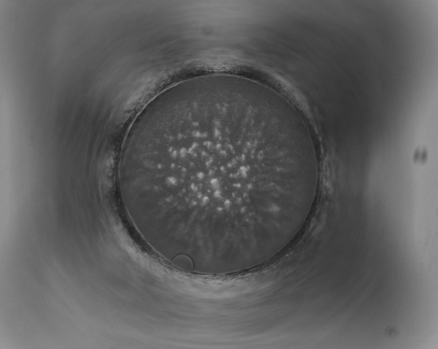 X0000112020018200908031408