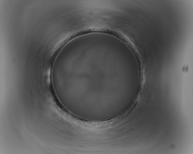 X0000112020019200908031408