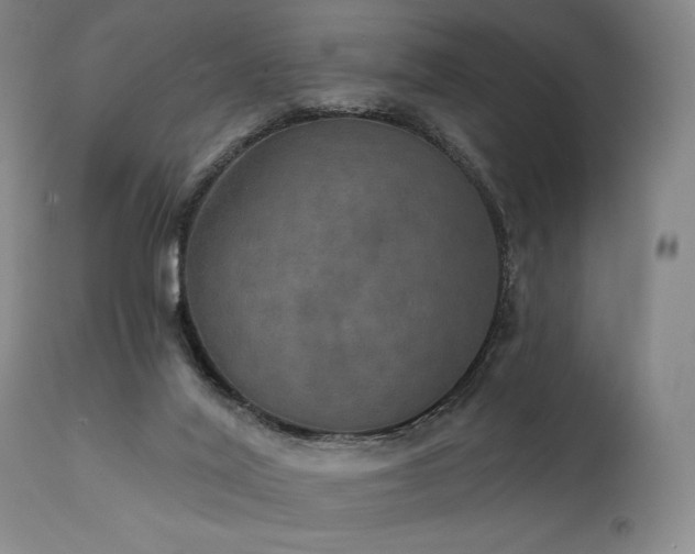 X0000112020020200908031408