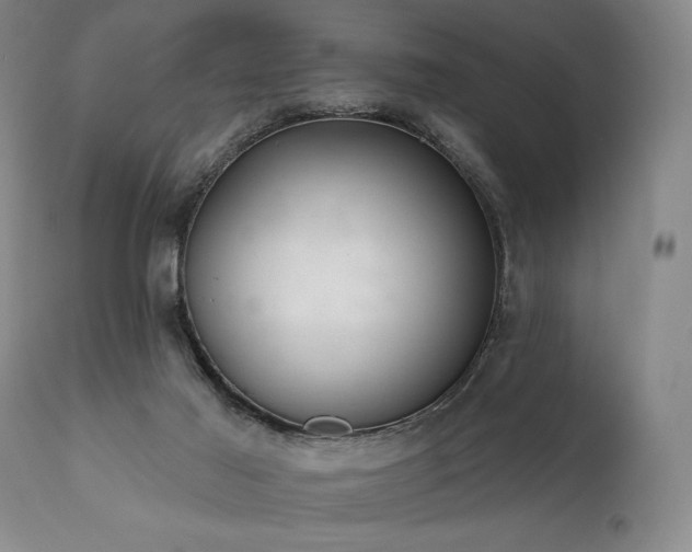 X0000112020021200908031408