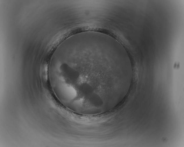 X0000112020022200908031408