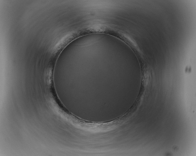 X0000112020023200908031408