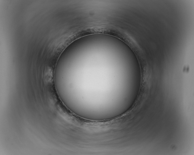 X0000112020025200908031408