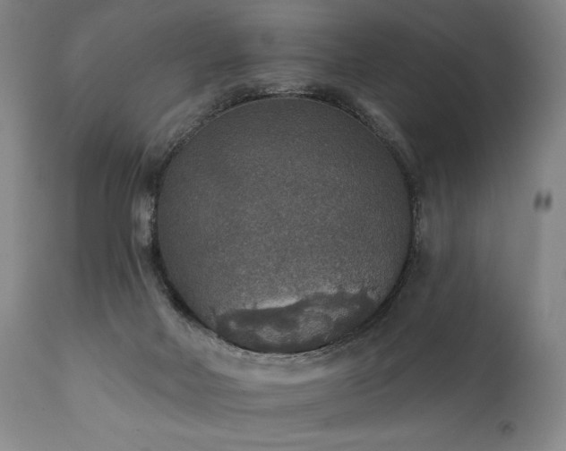 X0000112020026200908031408