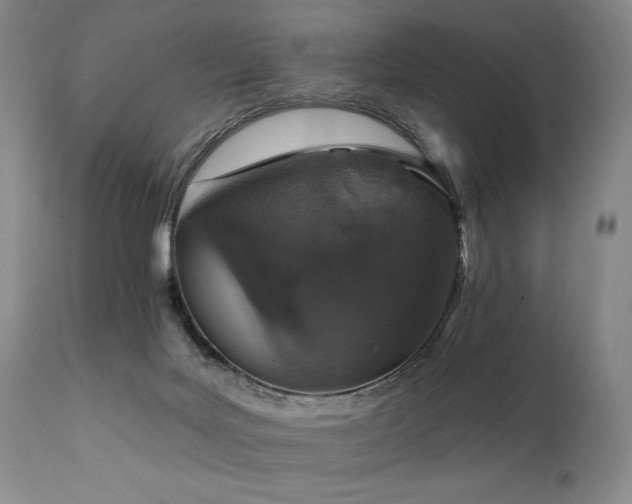 X0000112020027200908031408