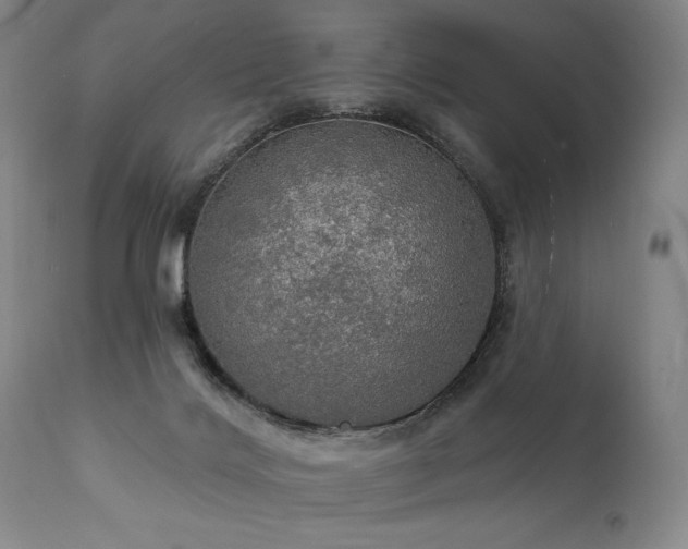 X0000112020028200908031408