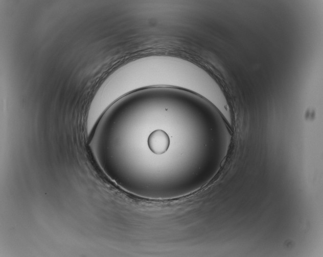 X0000112020029200908031408