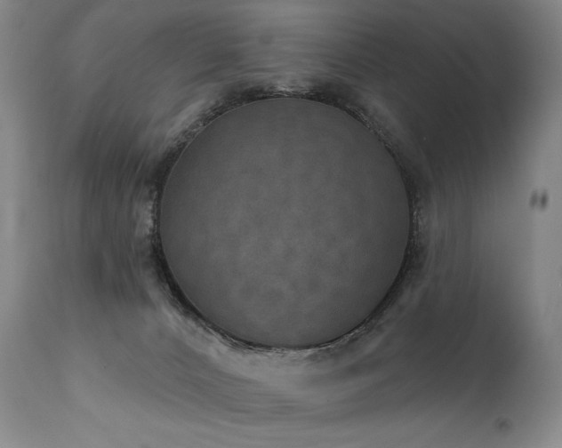 X0000112020032200908031408