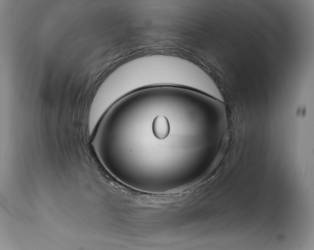 X0000112020033200908031408