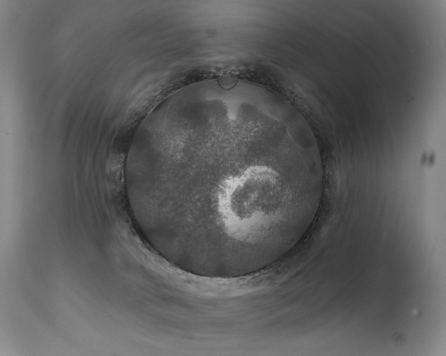 X0000112020034200908031408