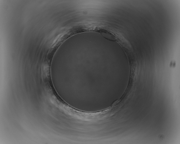 X0000112020035200908031408