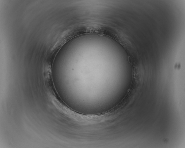 X0000112020038200908031408