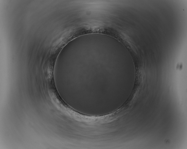 X0000112020039200908031408