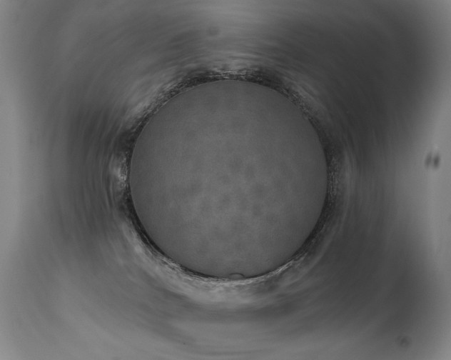 X0000112020040200908031408