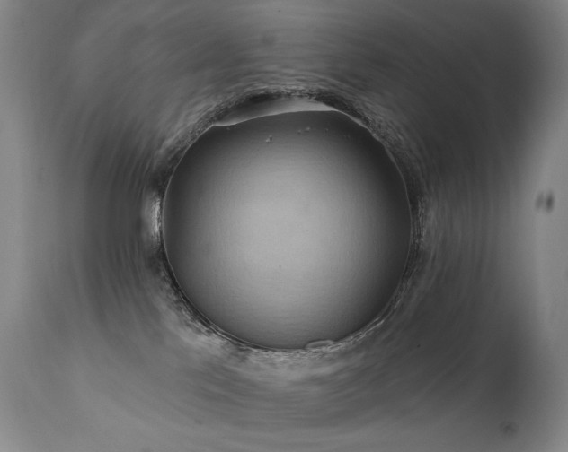 X0000112020041200908031408