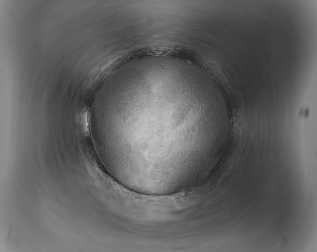 X0000112020042200908031408