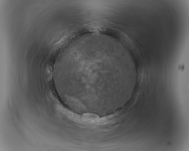 X0000112020043200908031408