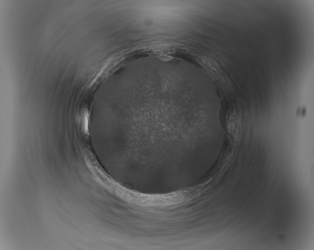 X0000112020046200908031408