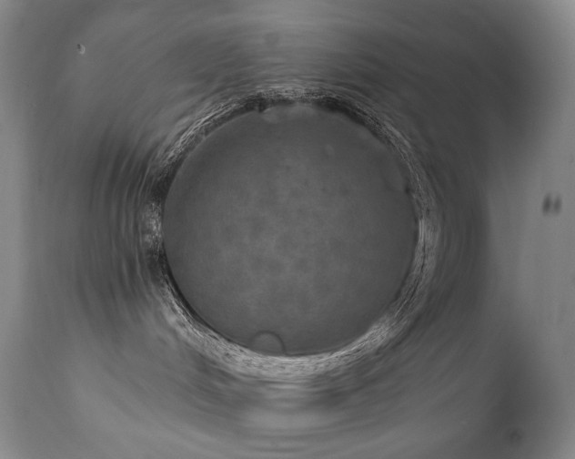 X0000112020048200908031408