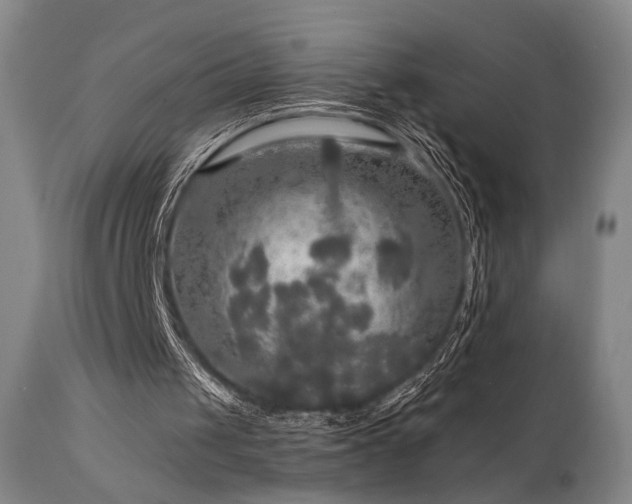 X0000112020049200908031407