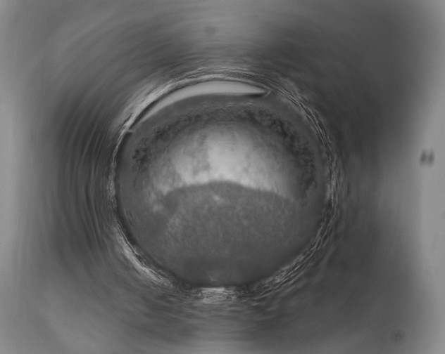 X0000112020050200908031407