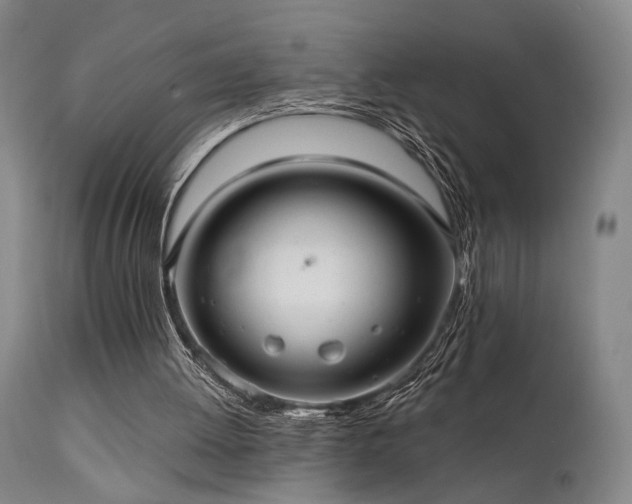 X0000112020052200908031407