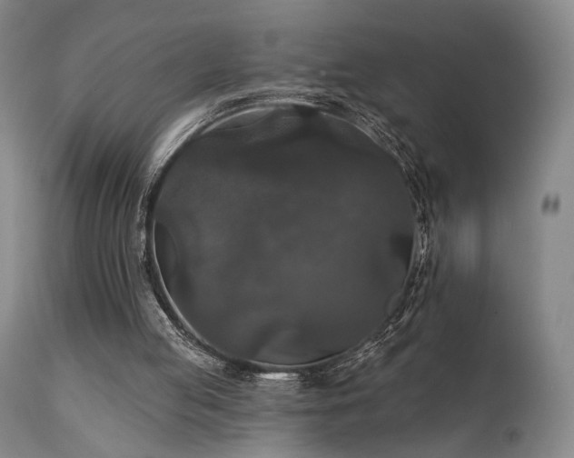 X0000112020053200908031407