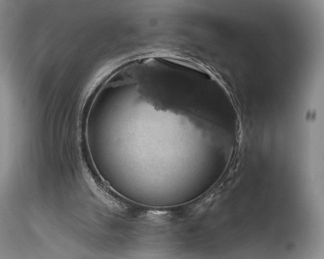 X0000112020055200908031407