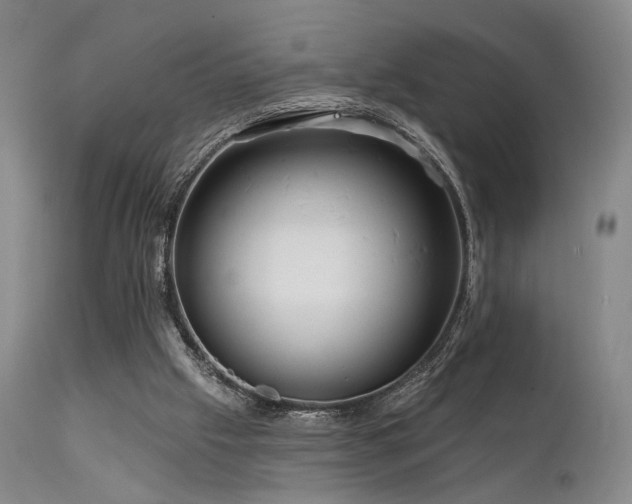 X0000112020057200908031407