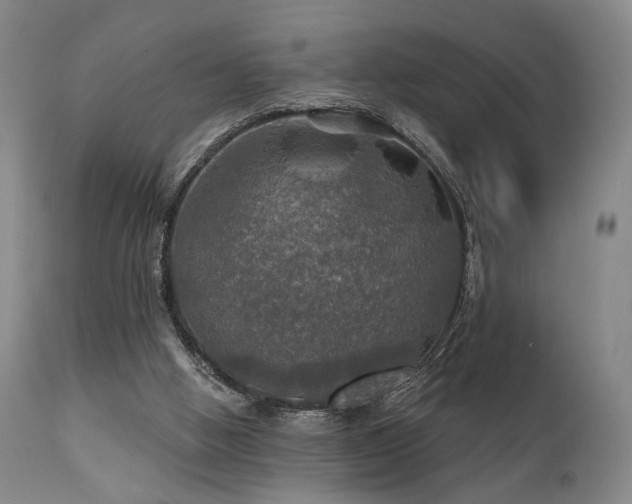 X0000112020058200908031407