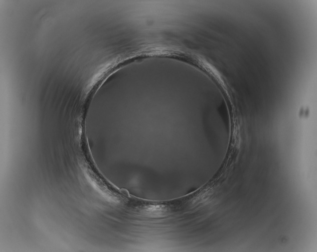 X0000112020059200908031407